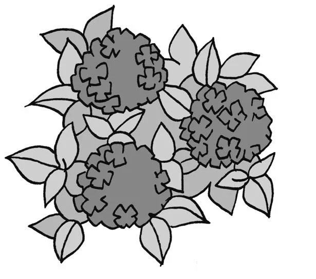 青や紫、ピンク…アジサイの花の色は咲く場所しだい!?／雑学うんちく図鑑（38）