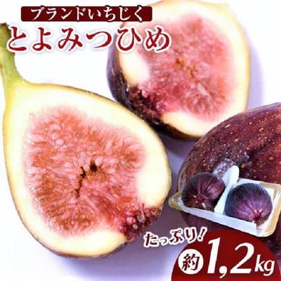 【福岡県鞍手町】いちじく とよみつひめ 約1.2kg（300g×4パック）10000円