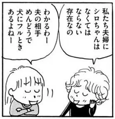 私たち夫婦にシロちゃんはなくてはならない存在なの