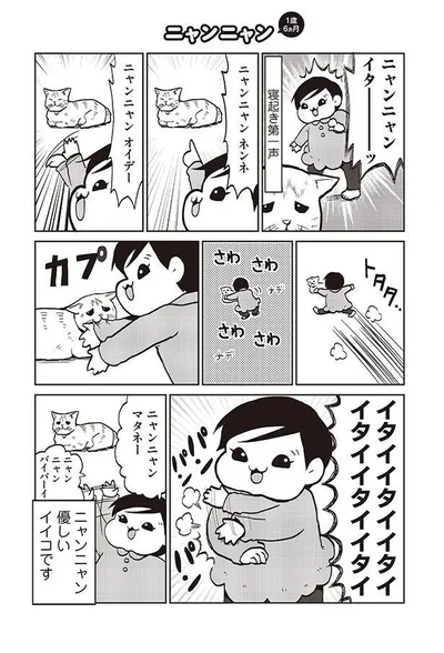 ニャンニャン　オイデー