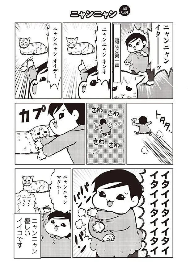 ニャンニャン　オイデー