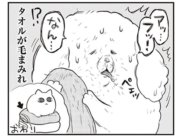 洗濯でふかふかになったタオル。お風呂上がりに使うと毛まみれなのはなぜ？／今日もゆるっとがんばった　猫もおるよ（3）