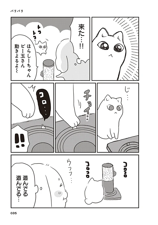 遊んでる遊んでる…