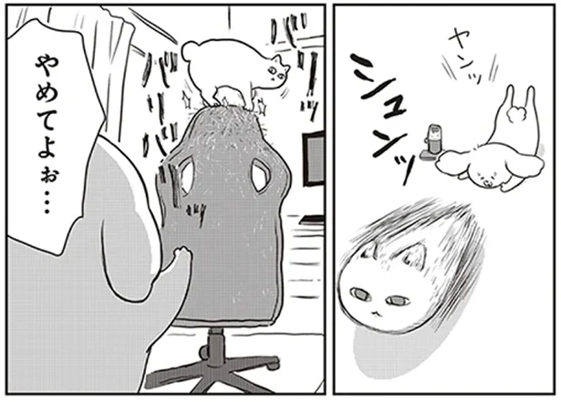 やめてよぉ！そこでツメをとがないで！猫のツメとぎに振り回されて／今日もゆるっとがんばった 猫もおるよ（4）