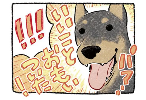 「かまって！」どうしても遊んでほしい犬 VS 草むしりしたい飼い主／ドベとノラ 犬がくれた優しい世界（2）