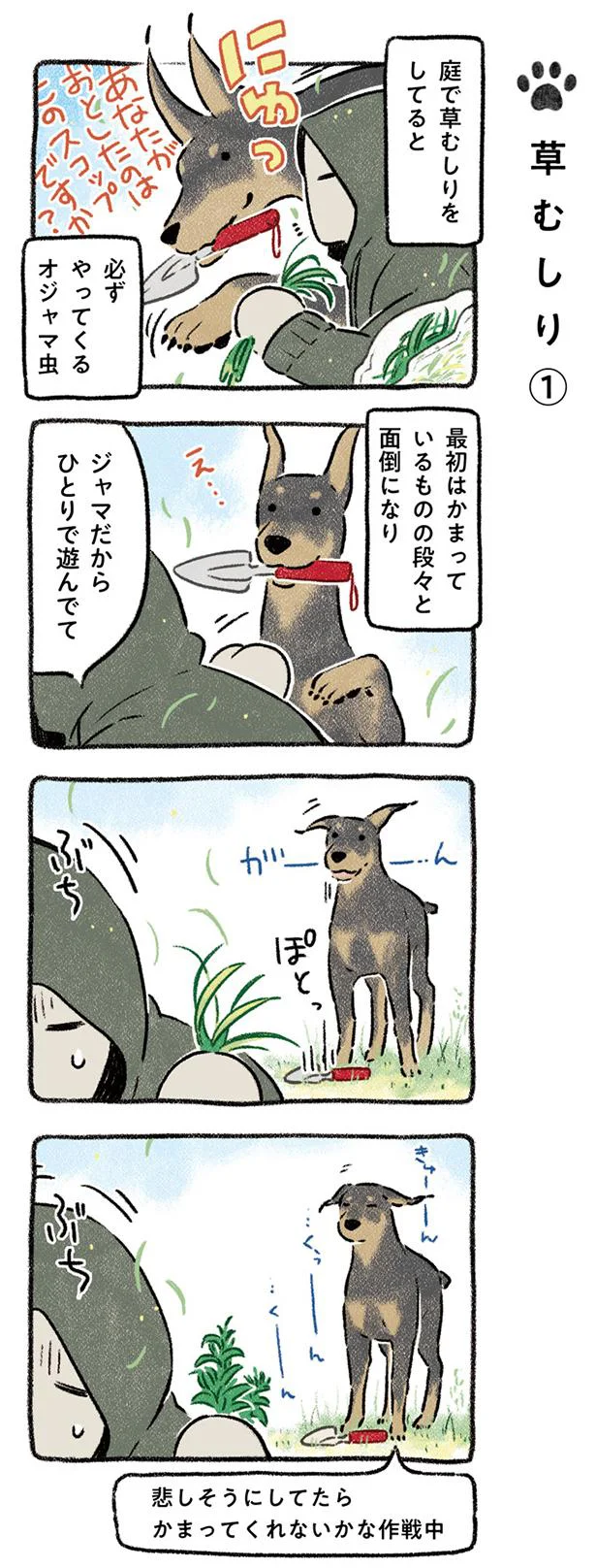 草むしり