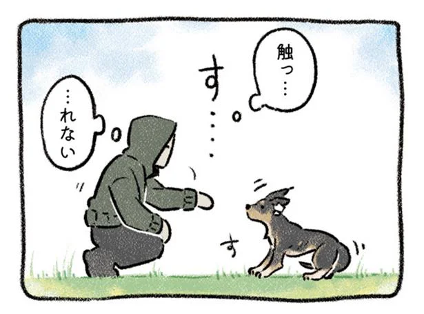 触られるのが苦手な元野犬。いずれはナデナデ大好きにしてやる！／ドベとノラ 犬がくれた優しい世界（6）