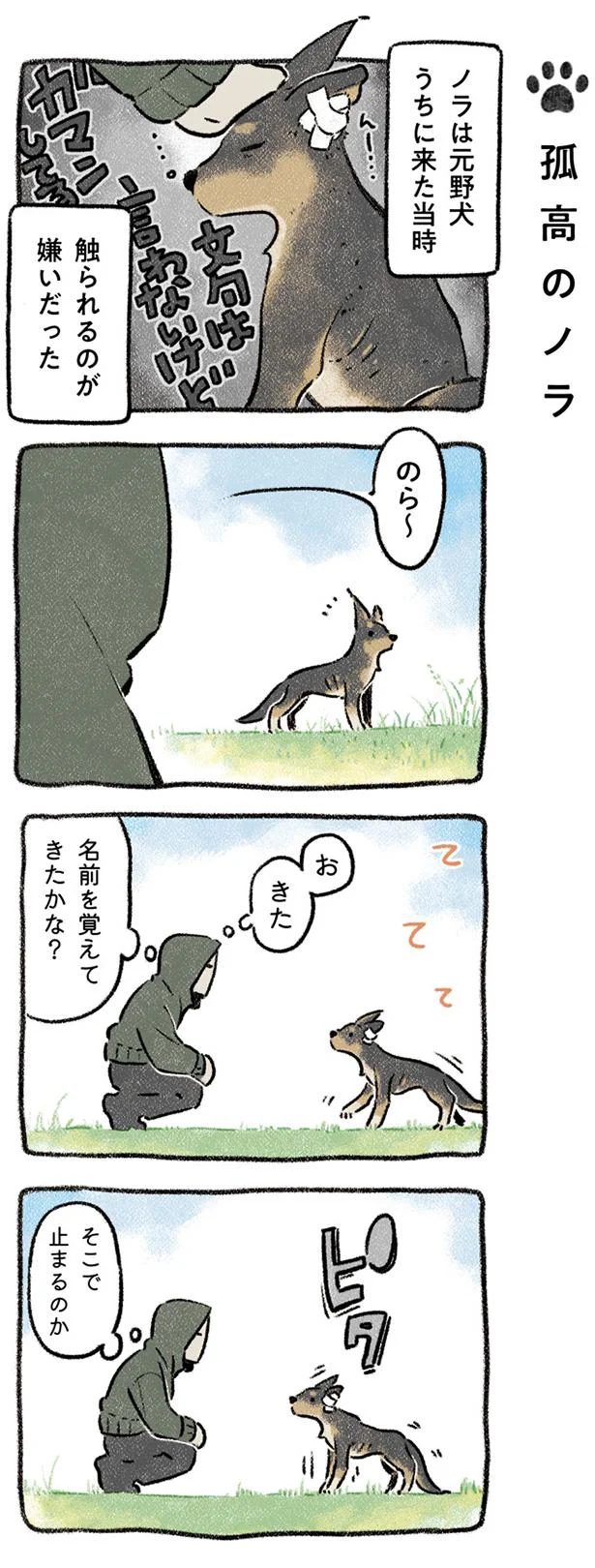 孤高のノラ