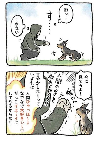 今に見てろよ！