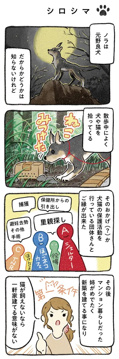 姉が新築を建てることに