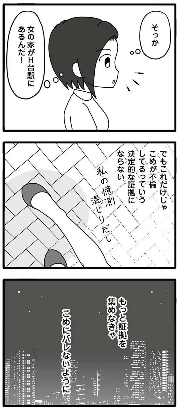 決定的な証拠にならない