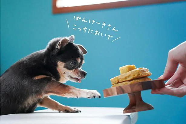 「ぱんけーきさん こっちにおいで」