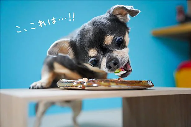 こ、これは…!!