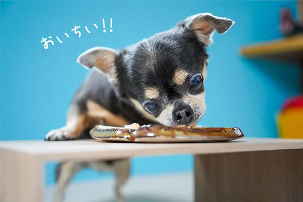 おいちい!!