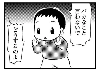 なにをいっているんだろう？どうしたのお母さん…