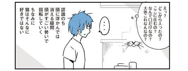なにあれ、幻覚？ 突如現れた、部屋に浮かぶ猫の口／動物たちが残した不思議なメッセージ（7）