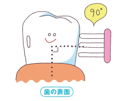 磨くときは何よりブラシの「当て方」が大事。ブラシの角度は、表面についた汚れを落とすには歯の表面に対して90度。