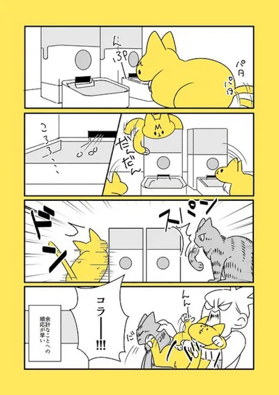 なごさんの漫画　給餌器編／殿さんと小判ちゃんラブがあふれる画像（5/14）