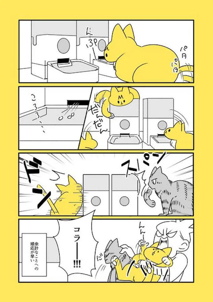 なごさんの漫画　給餌器編／殿さんと小判ちゃんラブがあふれる画像（5/14）