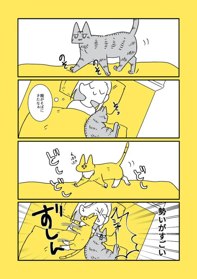 なごさんの漫画　夜のふたり編1／殿さんと小判ちゃんラブがあふれる画像（13/14）