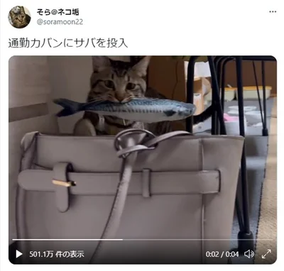 通勤カバンにサバを投入