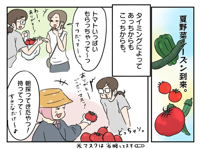 夏野菜シーズン到来