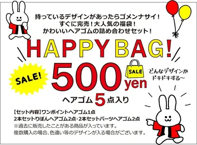 HAPPY BAG! 500YEN