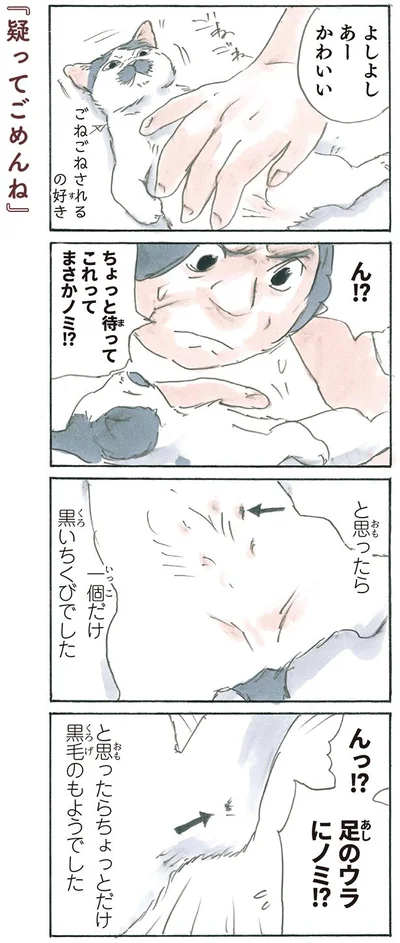 疑ってごめんね