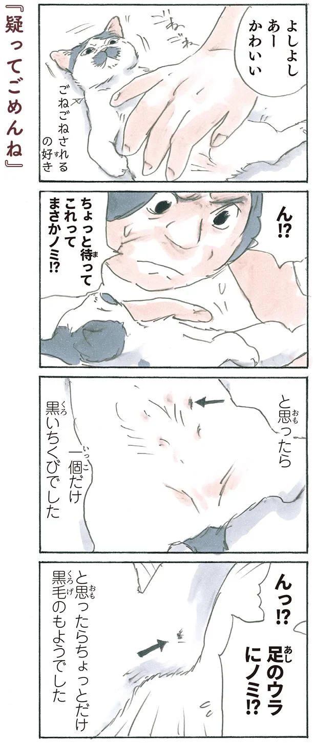 疑ってごめんね