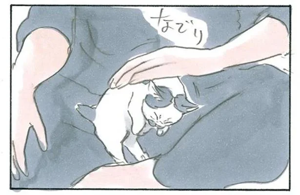 喜んでるの 独特すぎる子猫のなでられ方 拾い猫のモチャ6 6 レタスクラブ