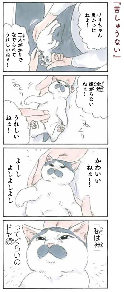 苦しゅうない