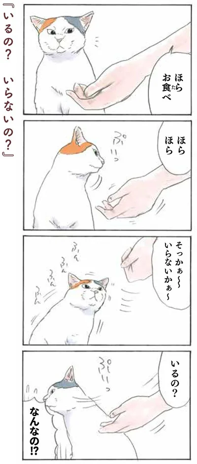 いるの？いらないの？