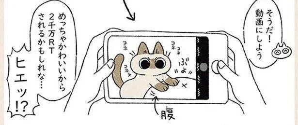 動画にしよう