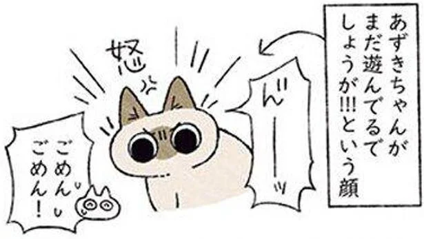 まだ遊んでるでしょうが!