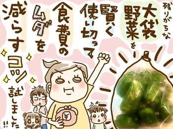 ピーマンの大袋を賢く使い切って食費節約！って本当！？試してみた！