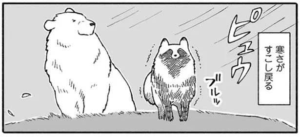 夏毛になっちゃったたぬきを、冷たい風が襲う…！／クマとたぬき（2）