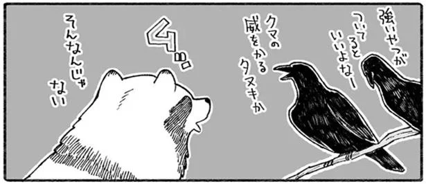 タヌキとクマの友情に、通りすがりの虫が感動!?／クマとたぬき（7）