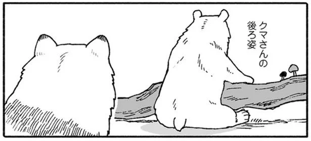 クマさんの後ろ姿