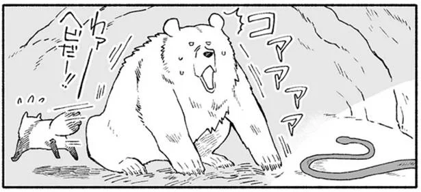 ヘビだー!!