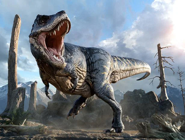 地球最大の肉食恐竜「ティラノサウルス」は意外と鈍足だった!?／大人の教養 博識雑学2000（32） - レタスクラブ
