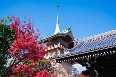 京都には金閣、銀閣のほかに「銅閣」も存在する!?