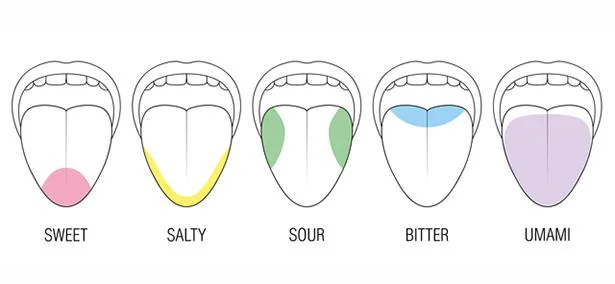 甘味、酸味、苦味、塩味、うま味に続く第六の味は「カルシウム味」