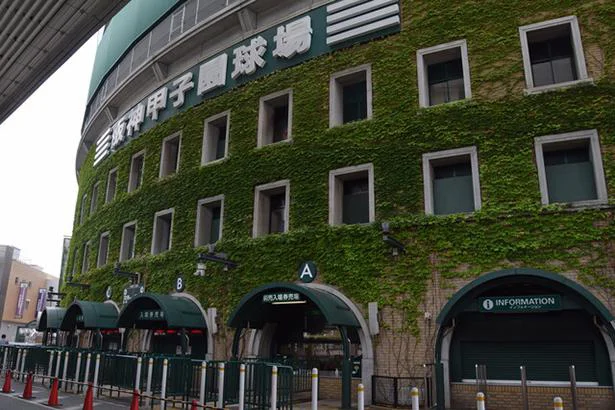 甲子園球場の土は春と夏で種類が違う