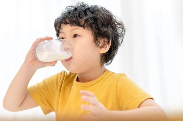 夏と冬、牛乳は季節によって味が違う!?／大人の教養 博識雑学2000（71）