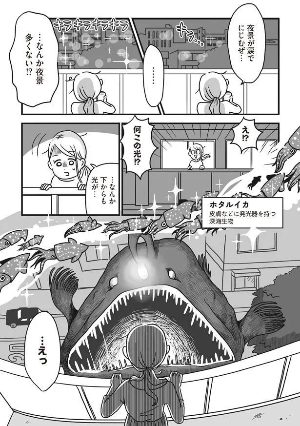 夜景多くない！？