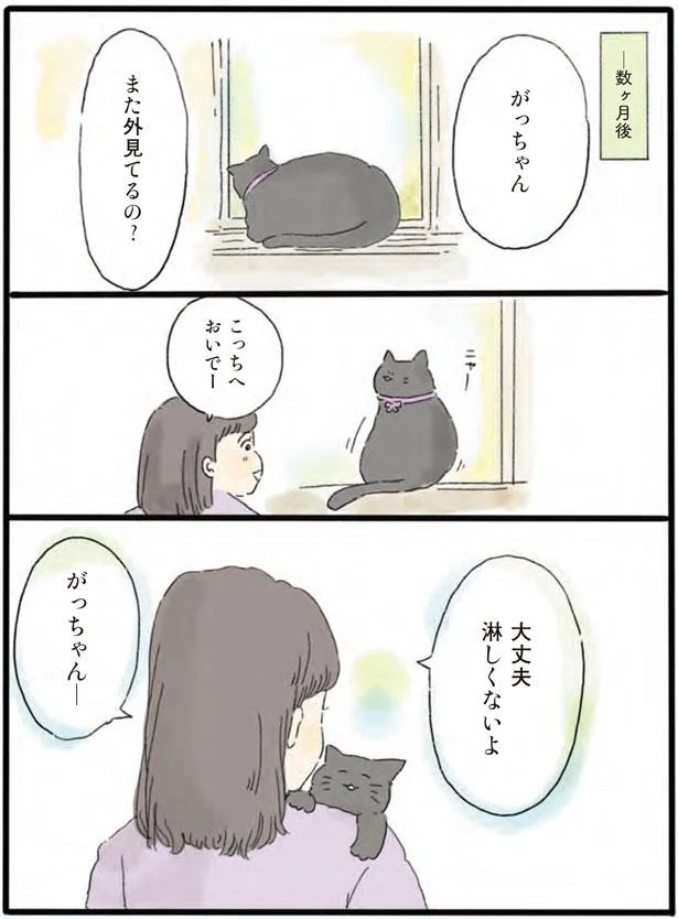 こっちへおいで