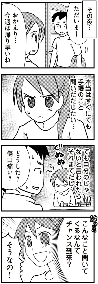 手帳のこと問いただしたい…