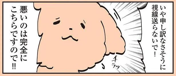 申し訳なさそうに視線送らないで!