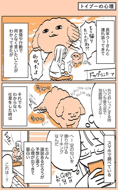 何となく言いたいことがわかってきたが