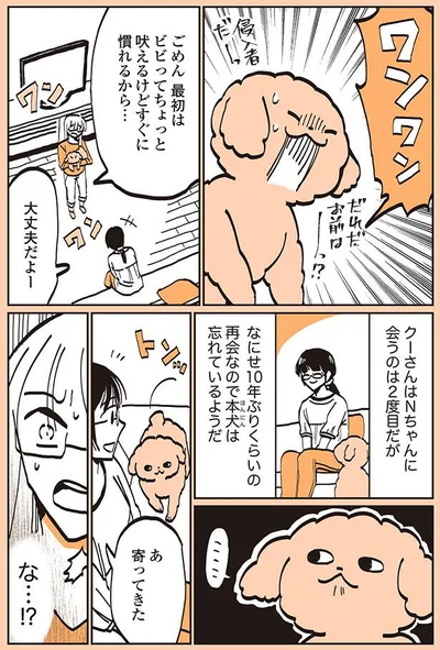 吠えるけどすぐに慣れるから…